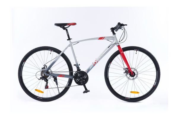 Bicicleta ZANELLA R28 Nova T 2.10 Gris en El País